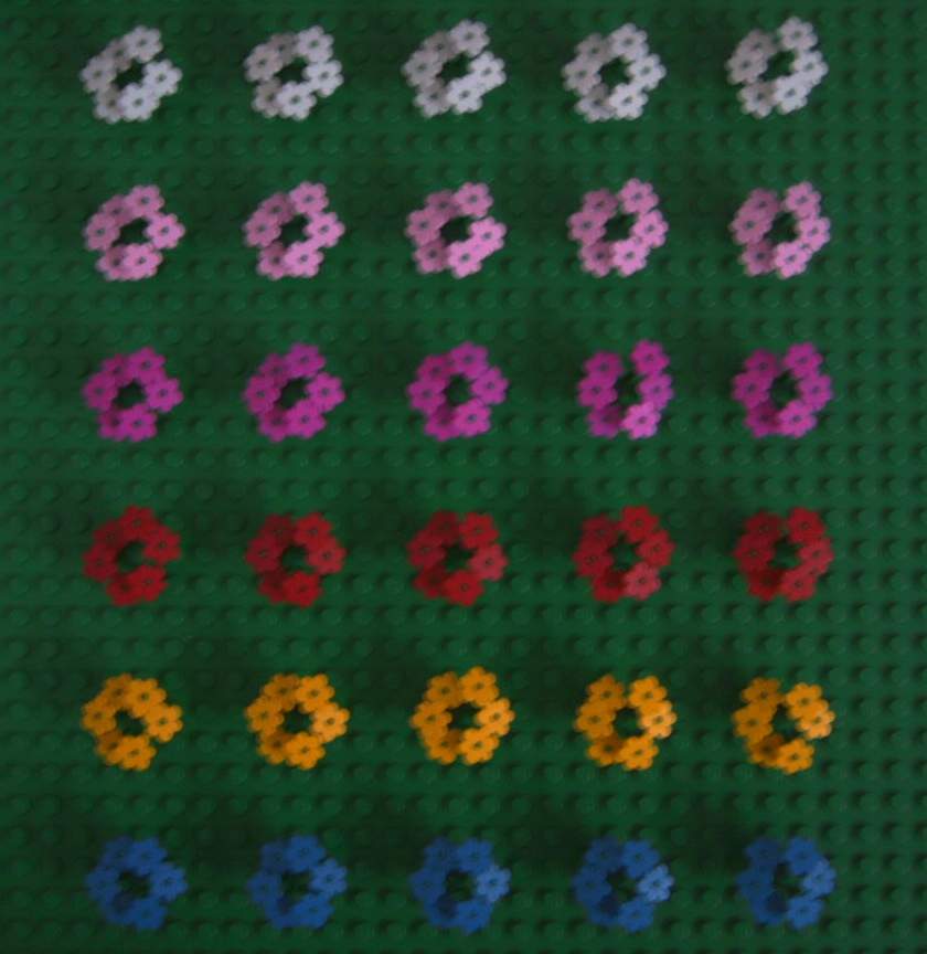 lots_of_flowers.jpg