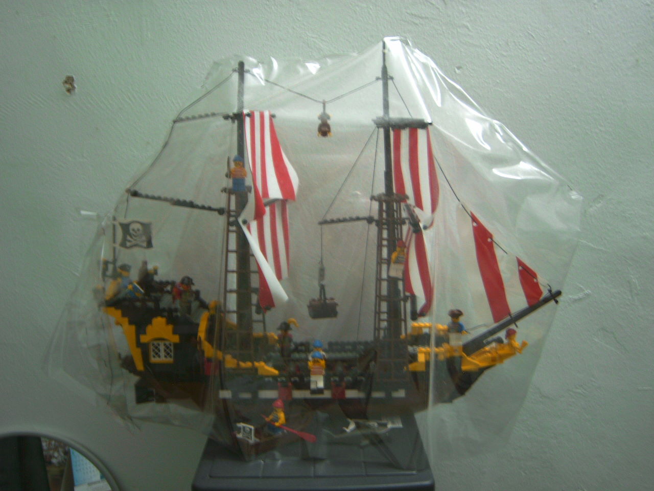 pirate.jpg