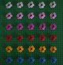 lots_of_flowers.jpg