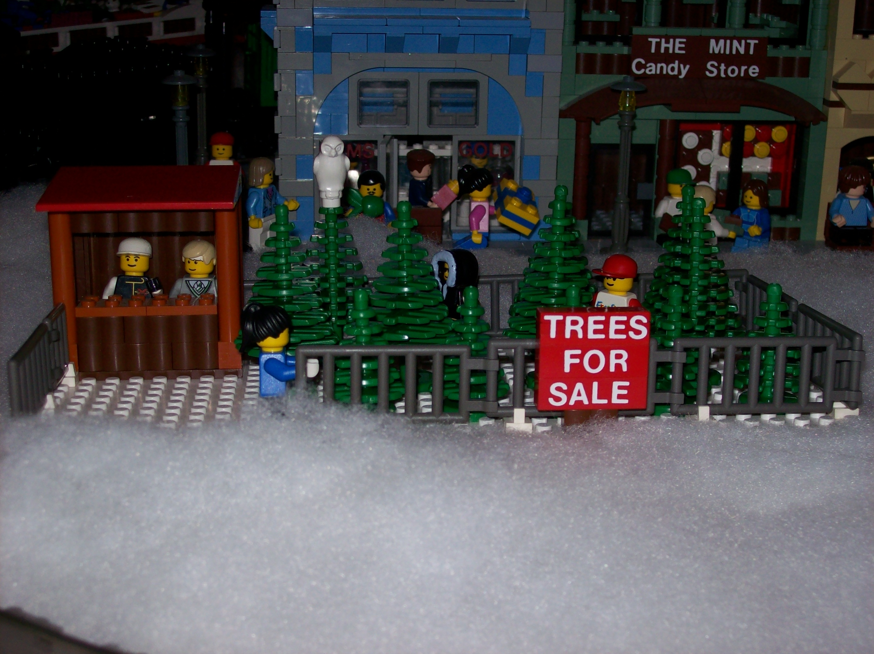 christmas_tree_lot.jpg