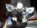 bionicle5.jpg