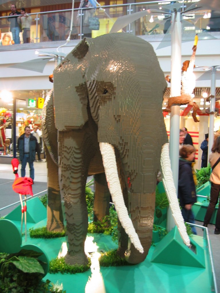 elefant-vorne.jpg