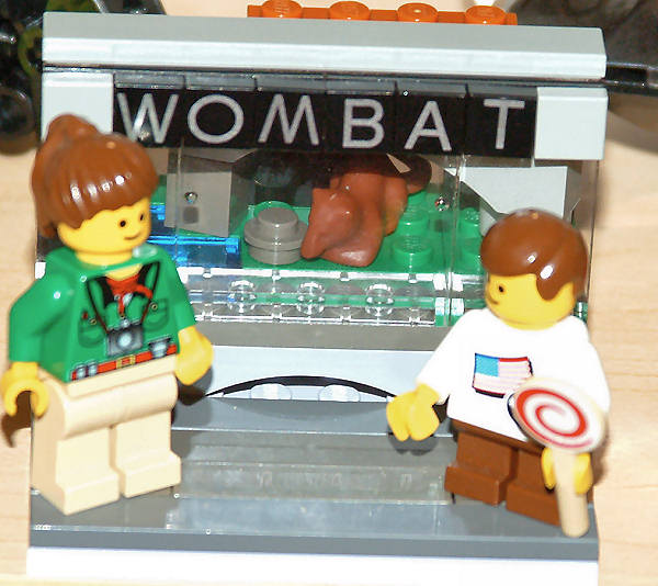wombat_3.jpg