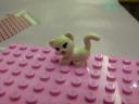 34-p1040698-kitty.jpg