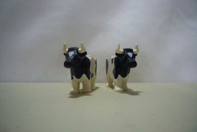 p1100081-cow.jpg
