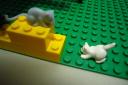 p1100196-big-mouse.jpg