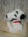 dsc01478.jpg