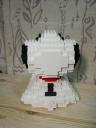 dsc01480.jpg