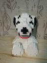 dsc01484.jpg