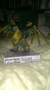 imag0268.jpg