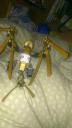 imag0278.jpg