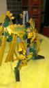 imag0302.jpg
