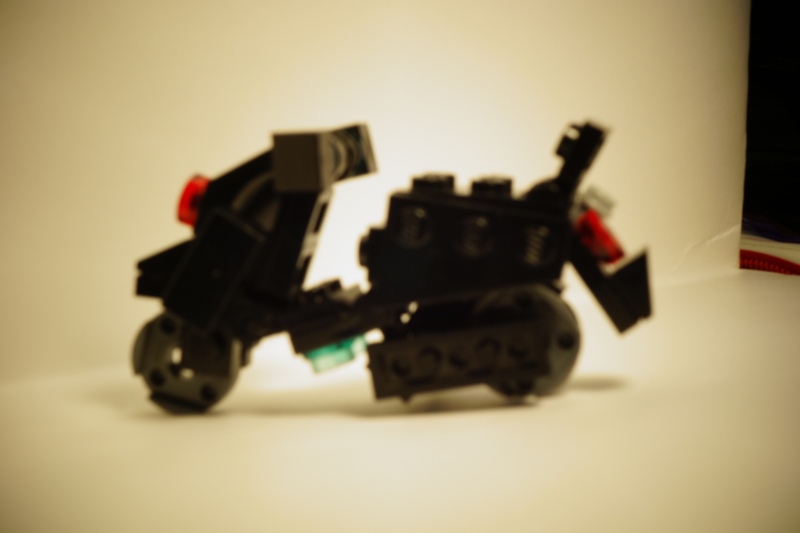 dsc03721.jpg