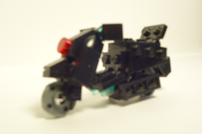 dsc03729.jpg
