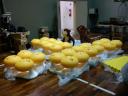dsc00602.jpg