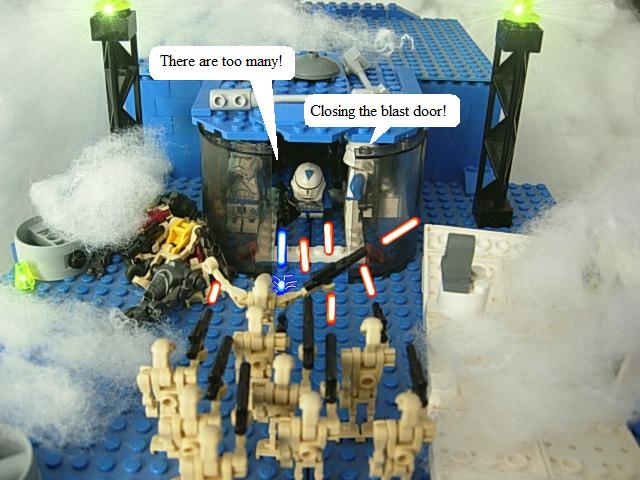 dscn4448.jpg