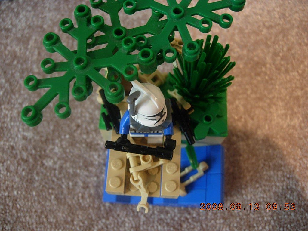 vignette_036.jpg