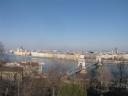 img_8319_large.jpg