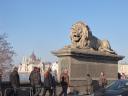 img_8365_large.jpg