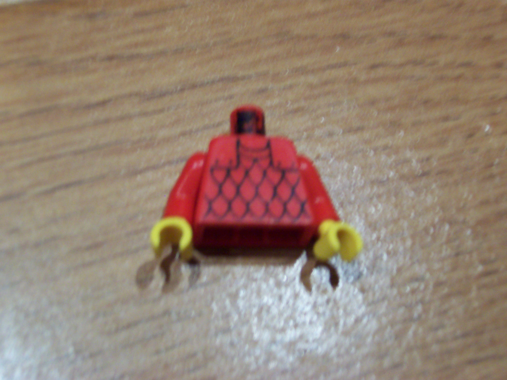 100_4851.jpg