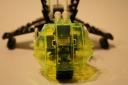 haas_lego_collection_1015.jpg