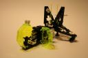 haas_lego_collection_1017.jpg
