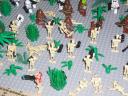 wookiebattle1.jpg