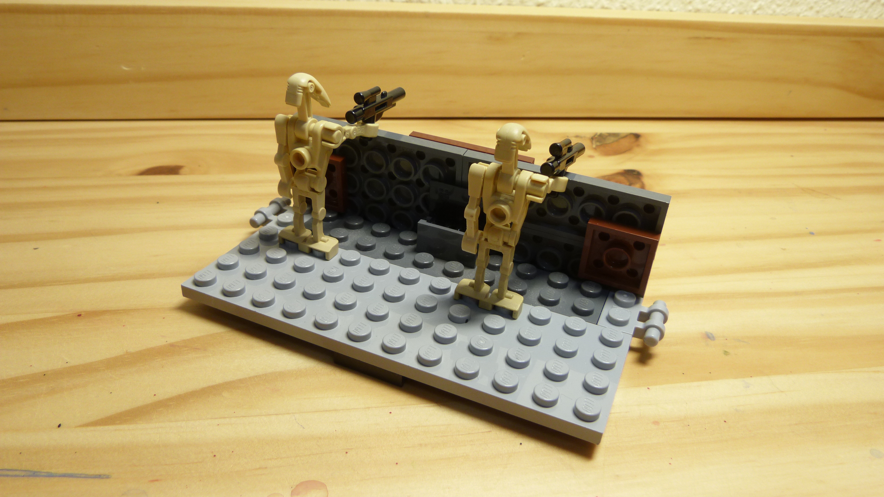 p1010256.jpg