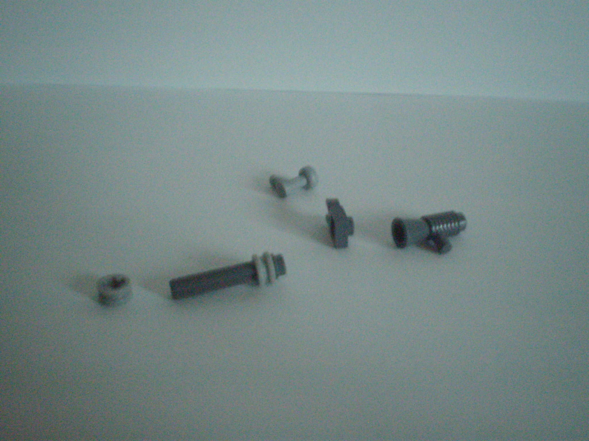 p3180191.jpg