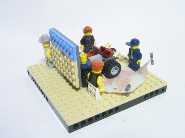 sun-03.jpg