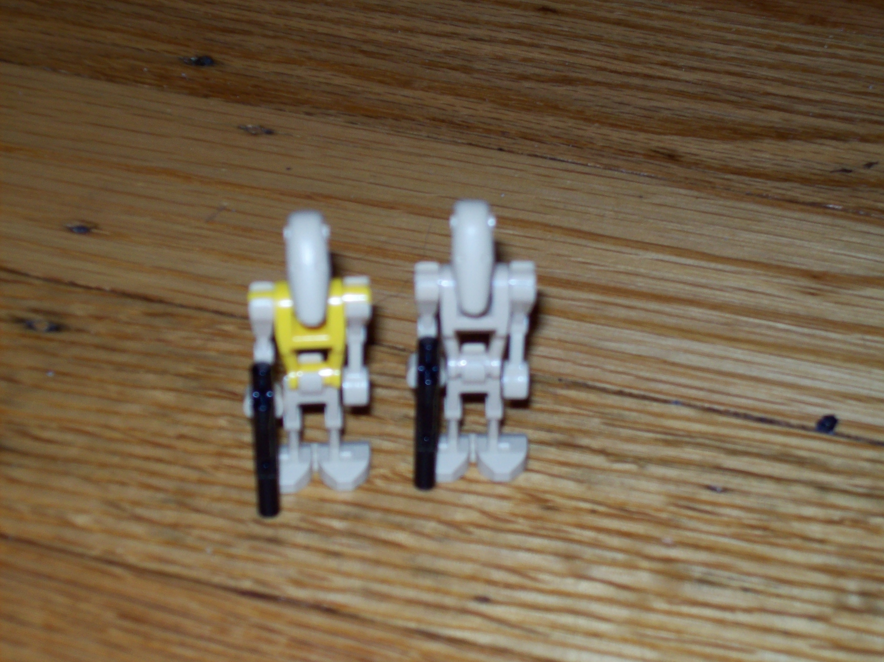100_0323.jpg