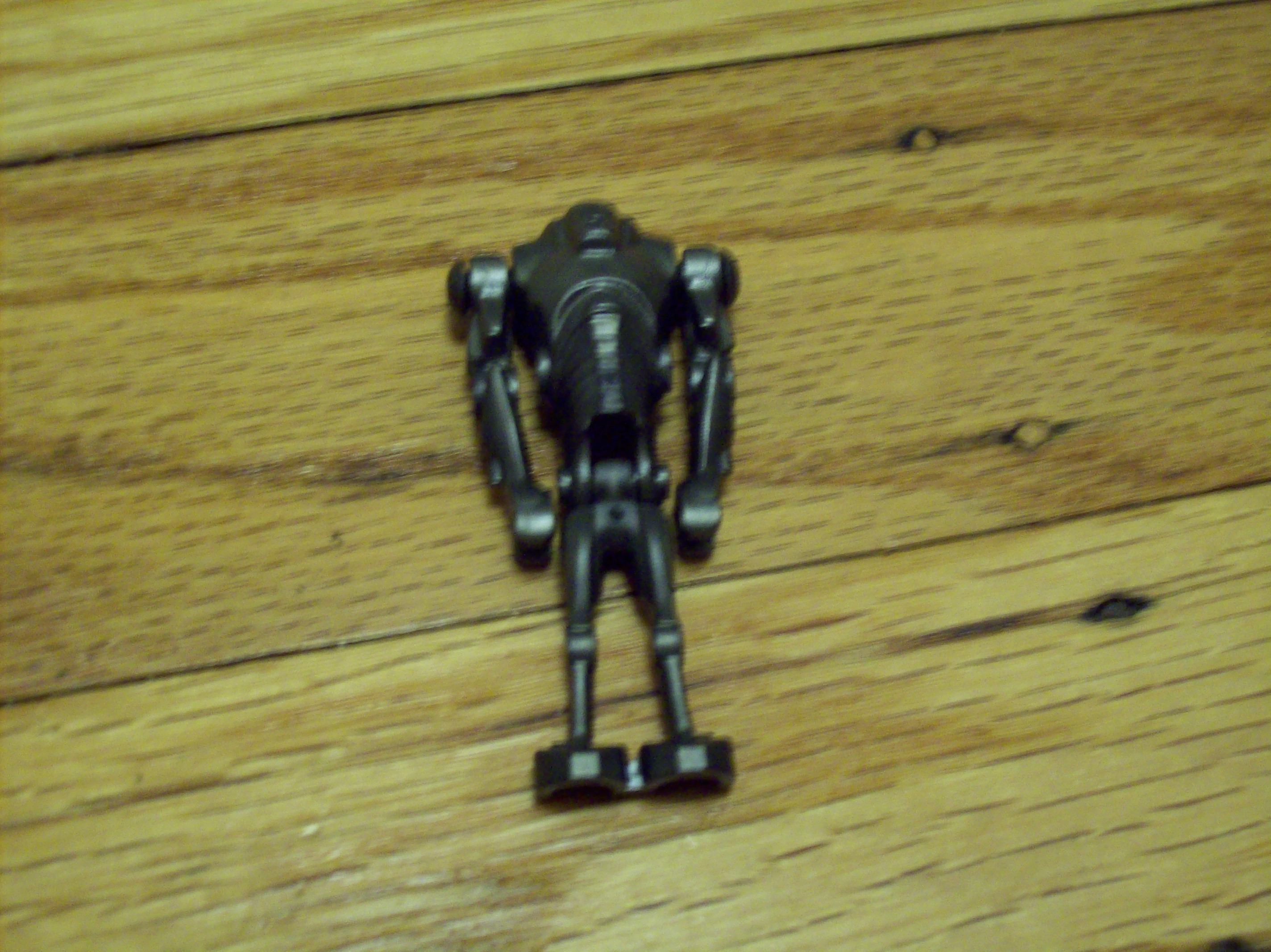 100_0347.jpg