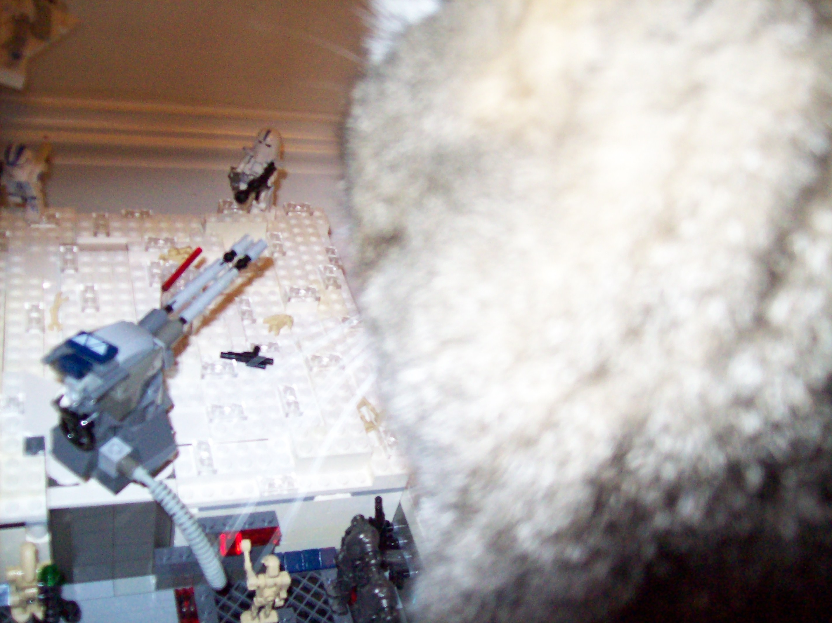 100_0989.jpg