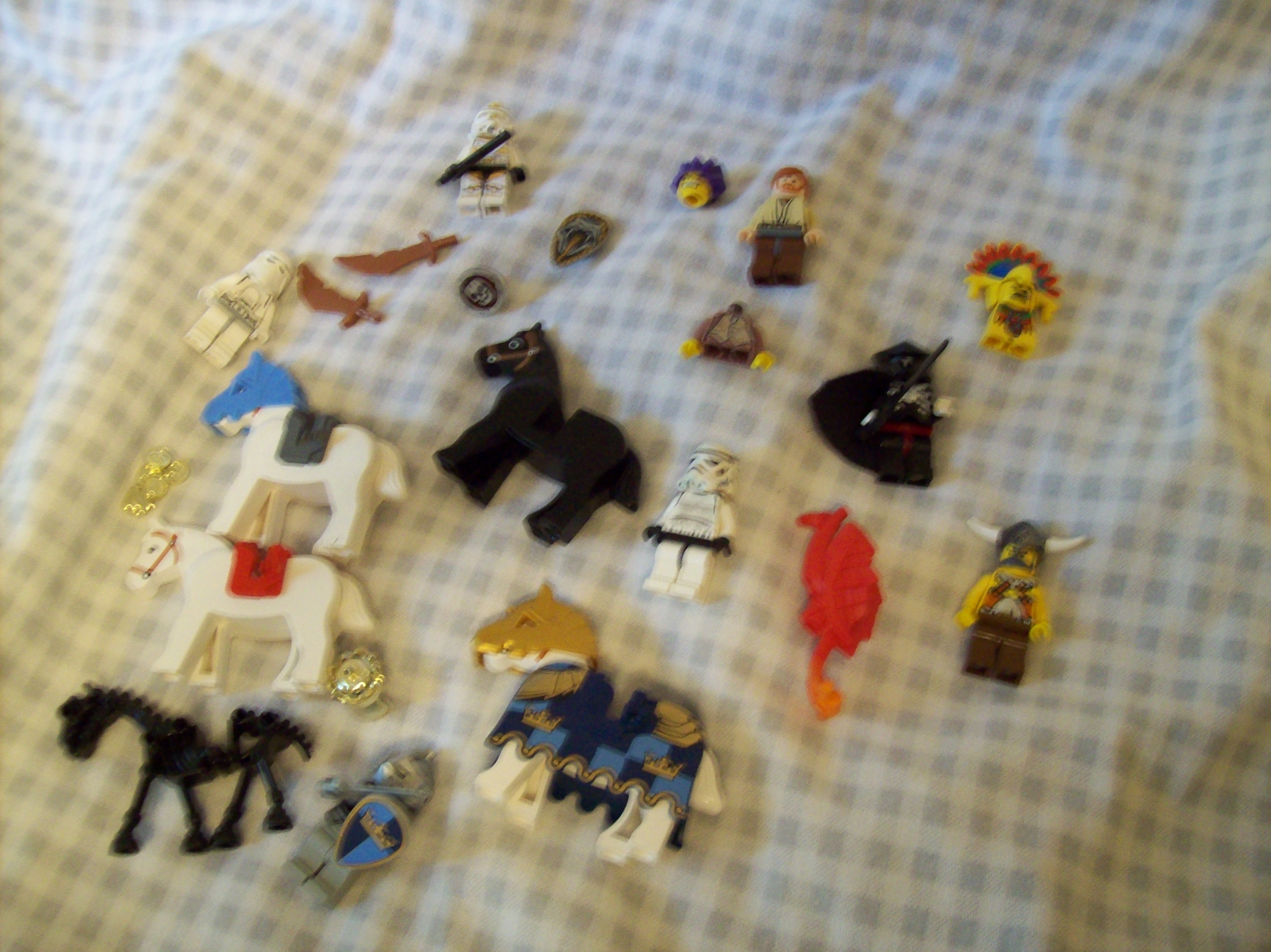 100_1020.jpg