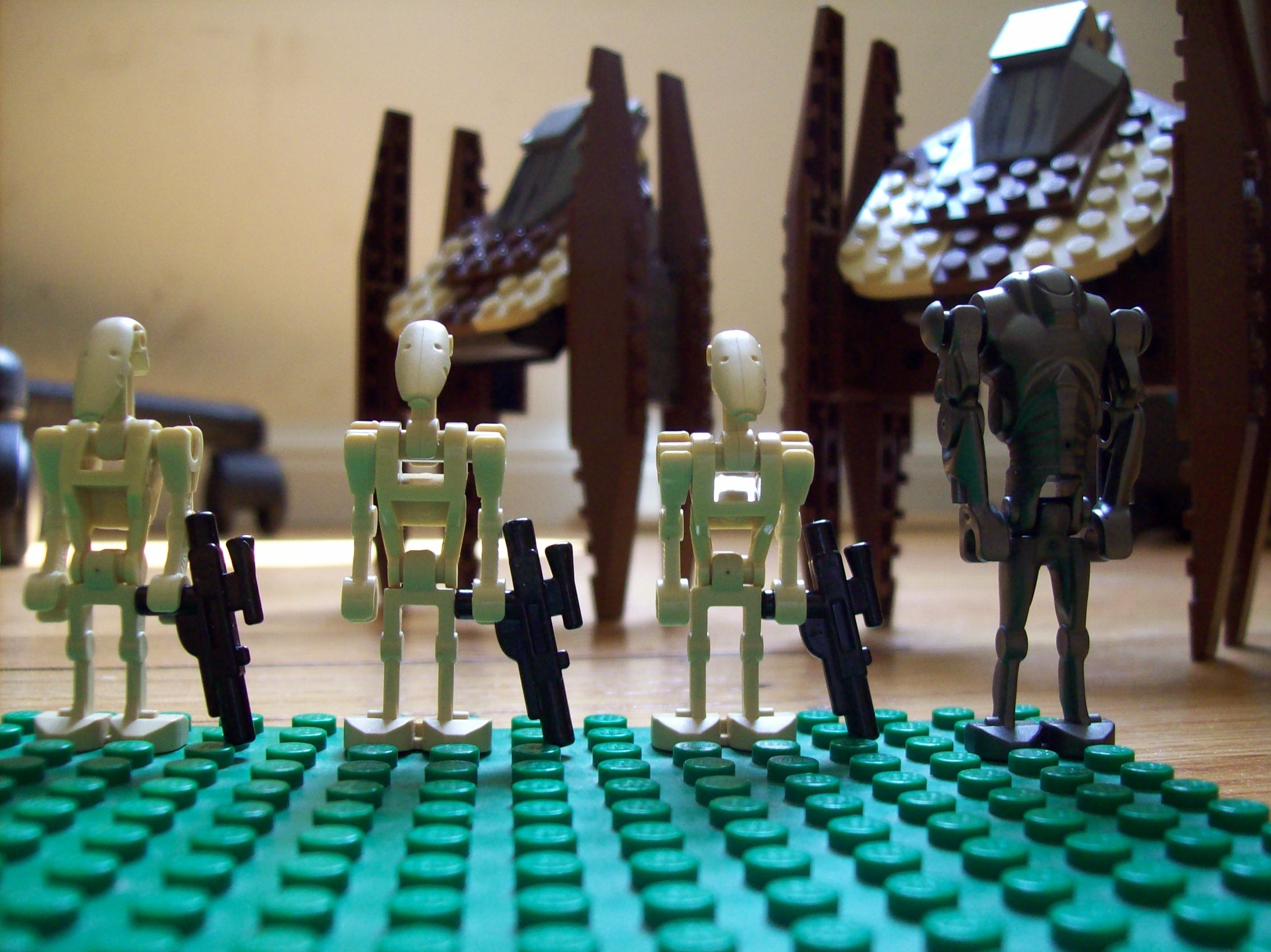 100_1034.jpg