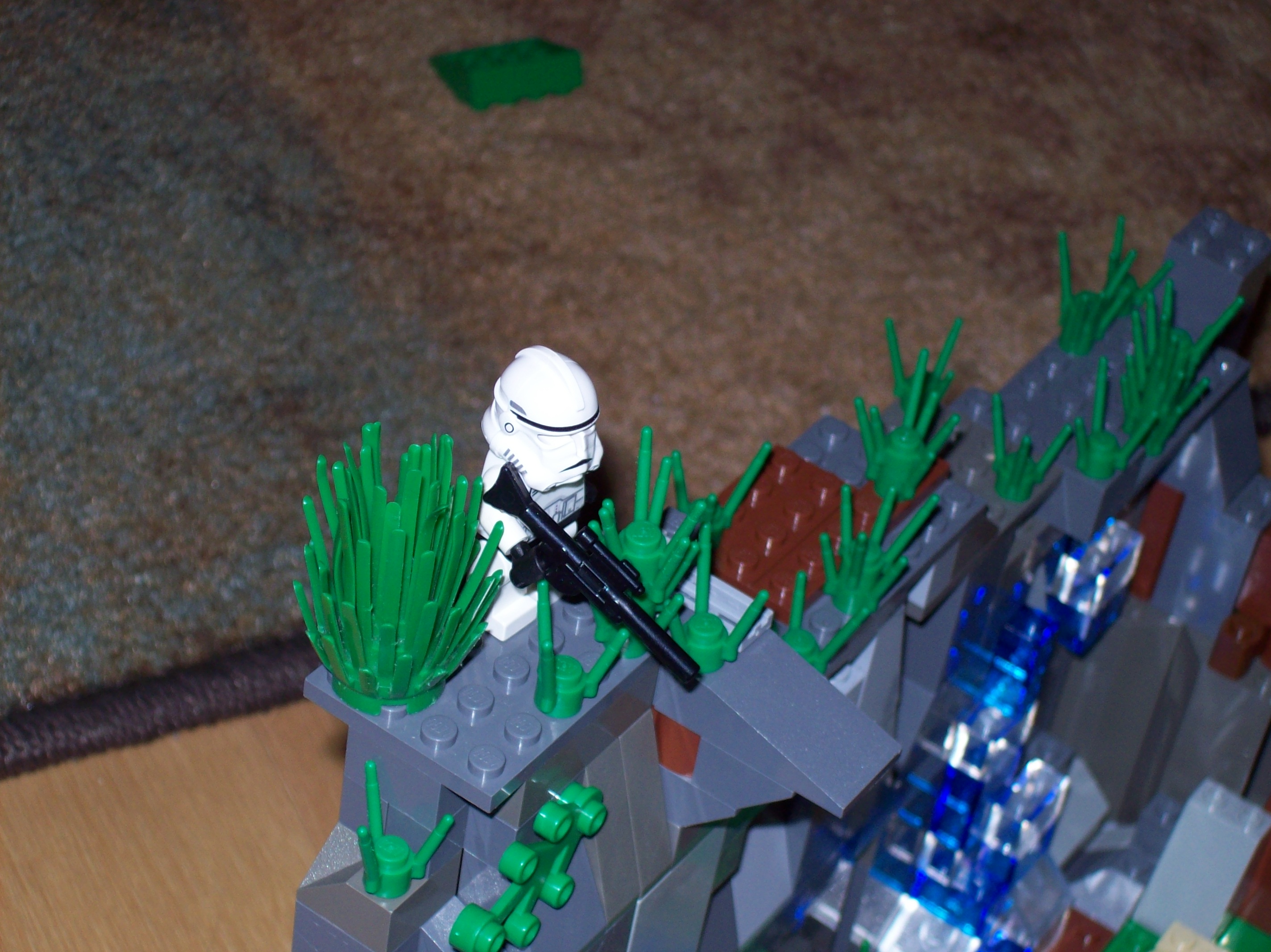 100_0478.jpg