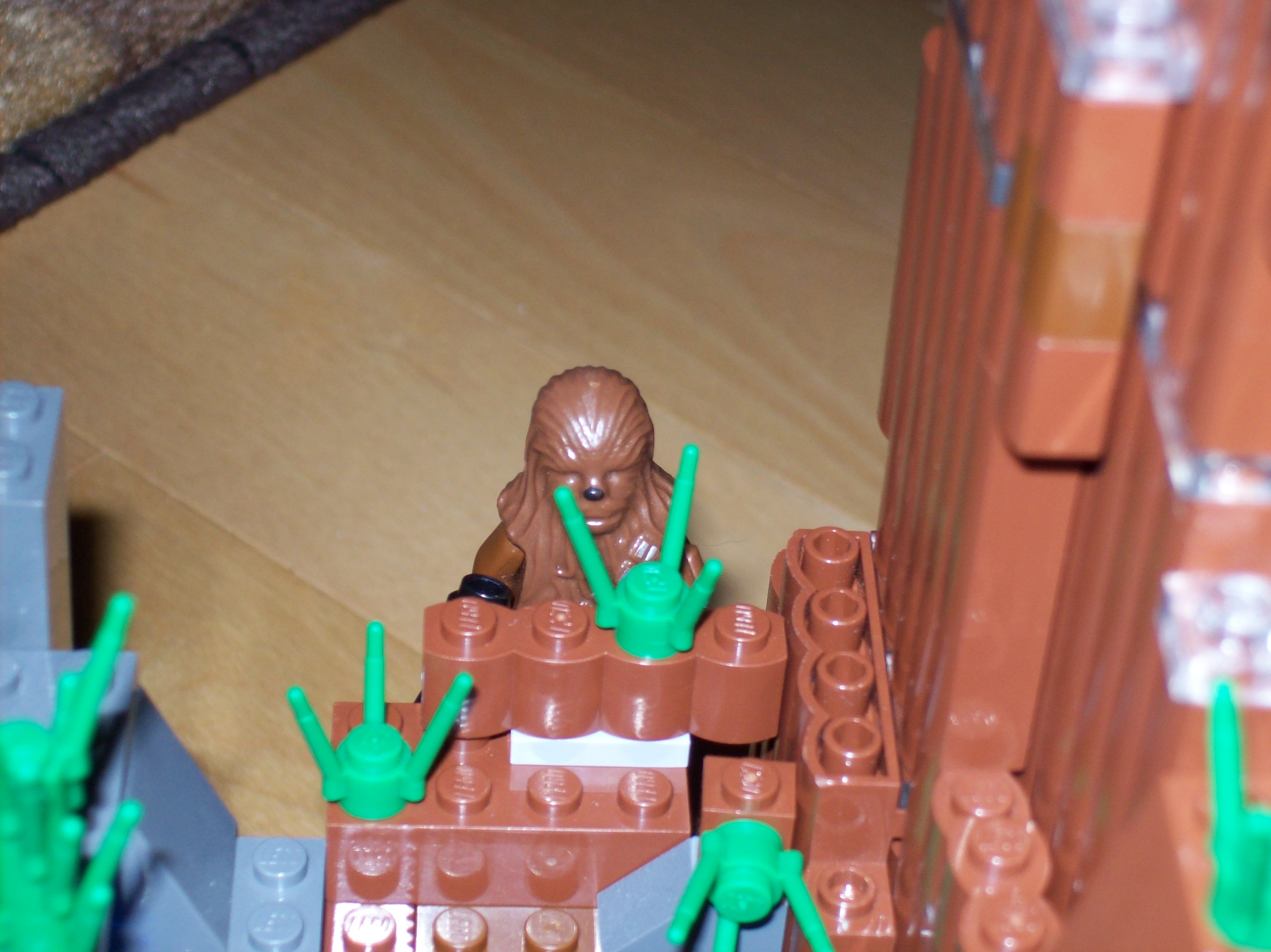 100_0479.jpg