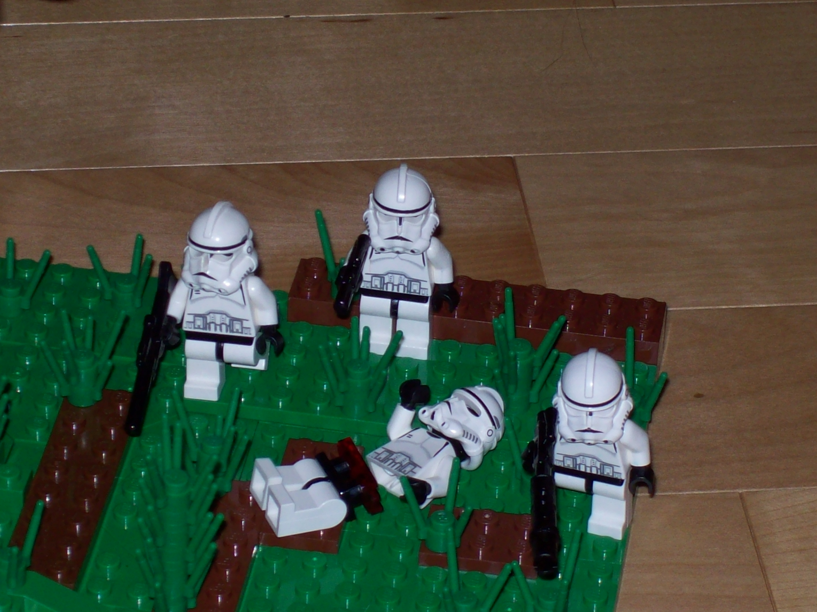 100_0509.jpg