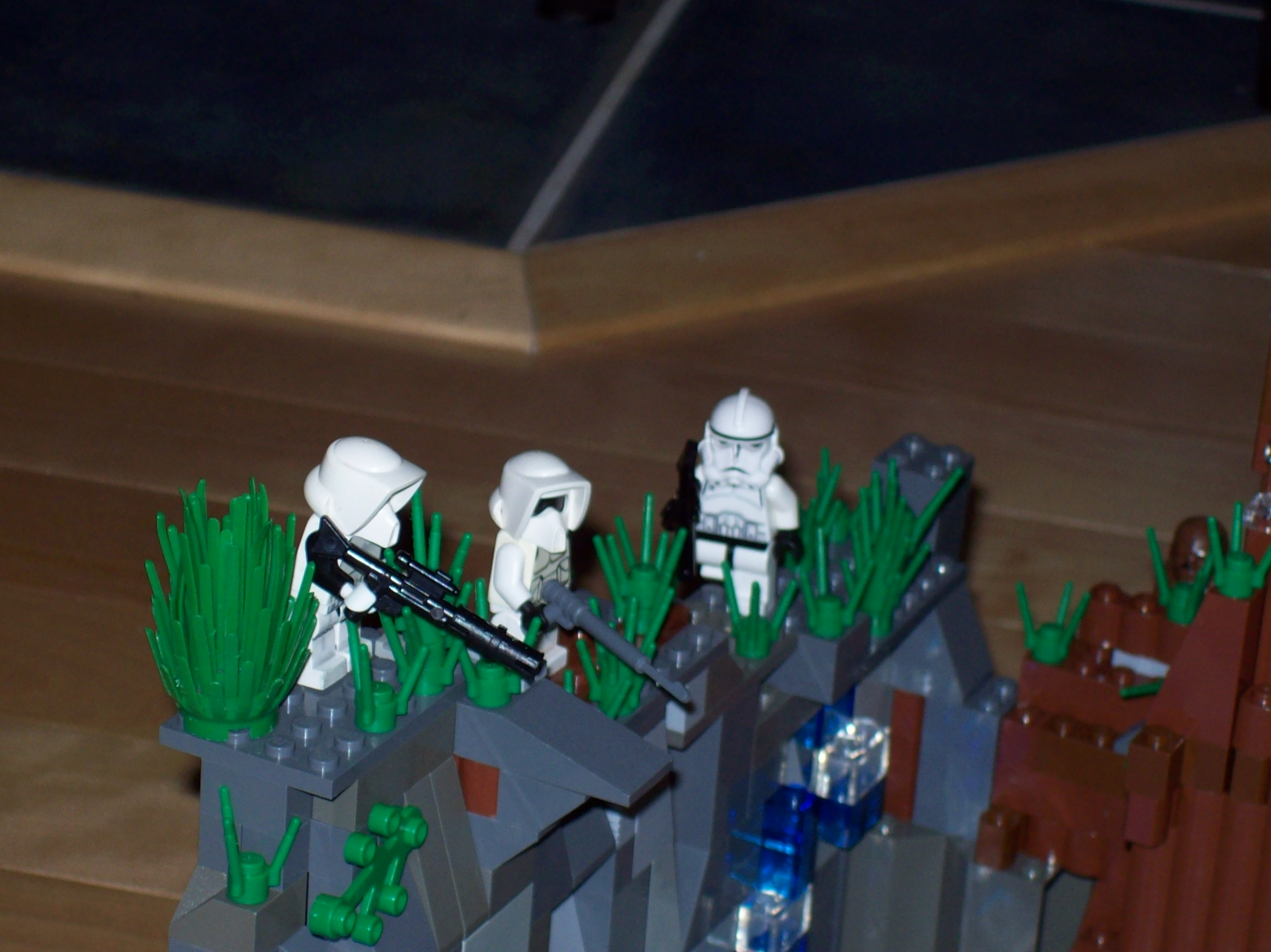 100_0513.jpg