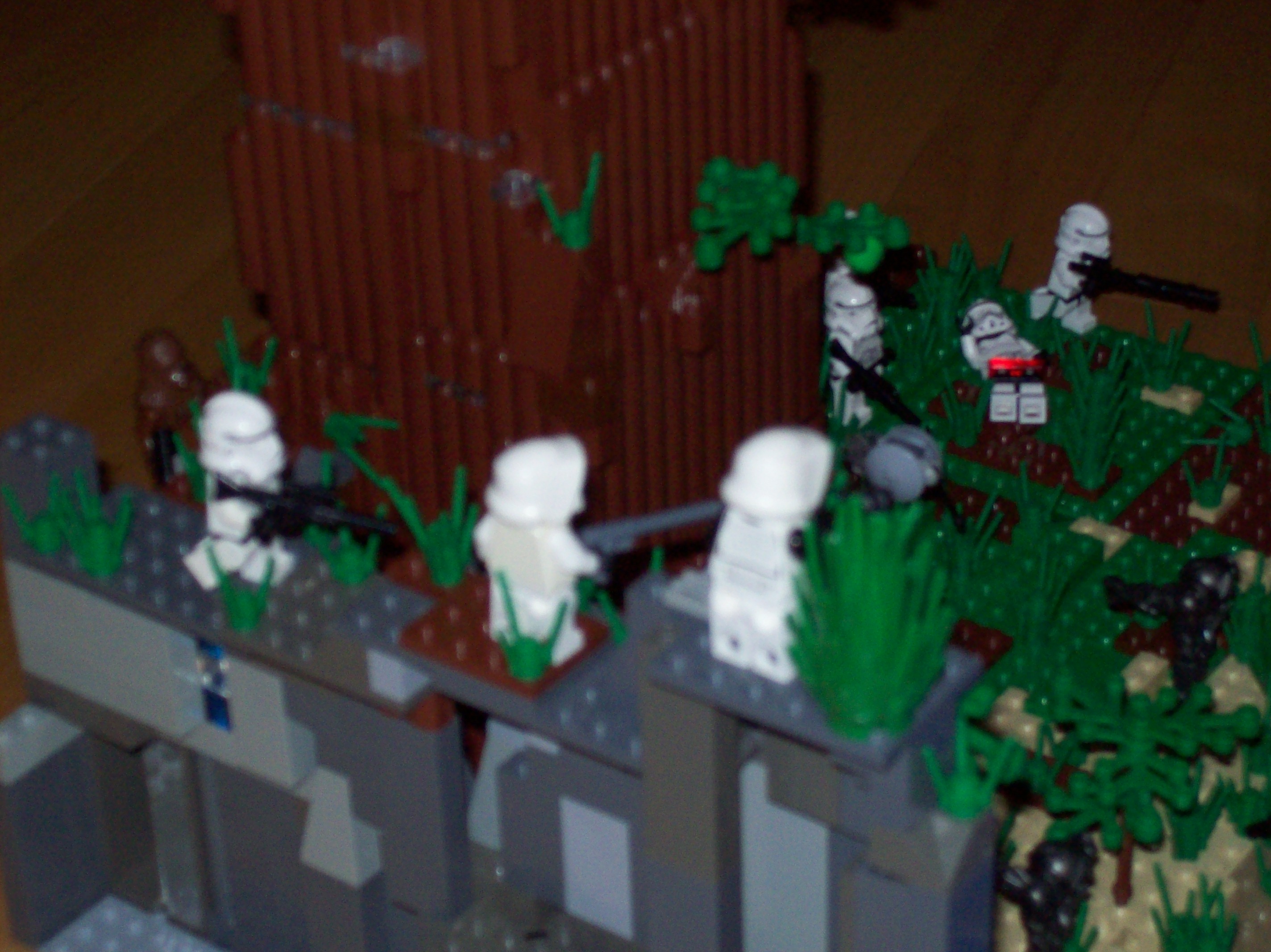 100_0514.jpg