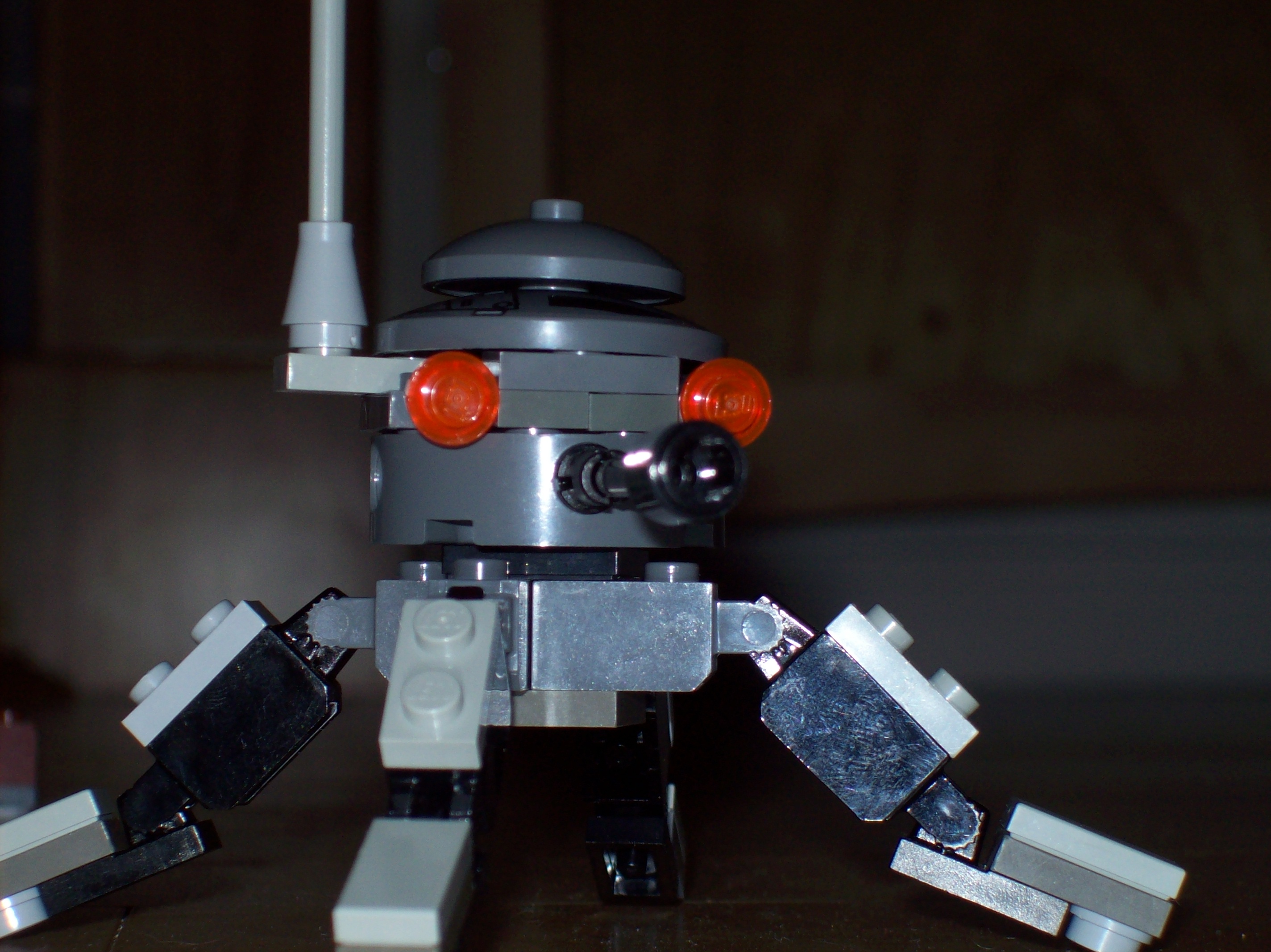 100_0533.jpg