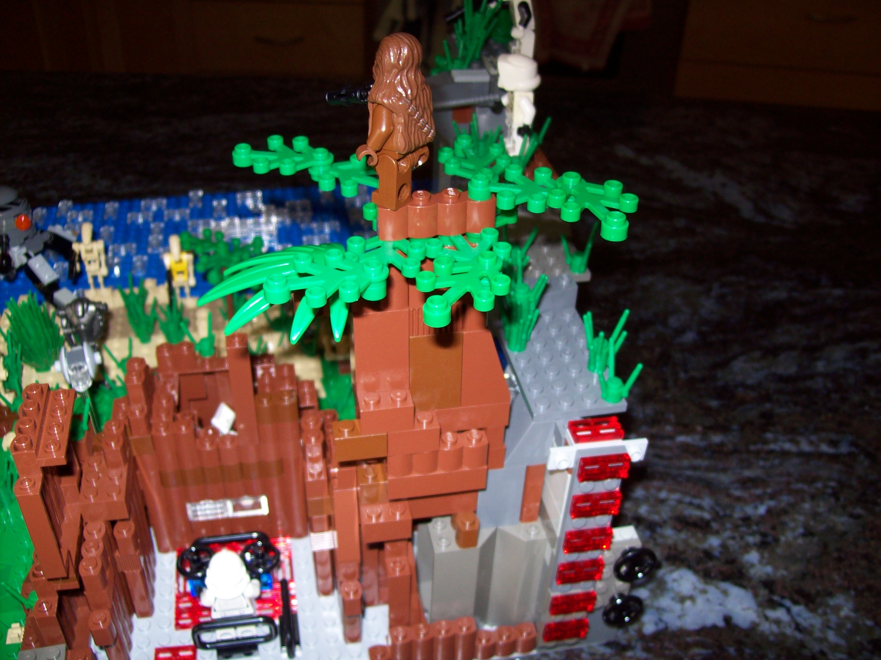 100_0743.jpg