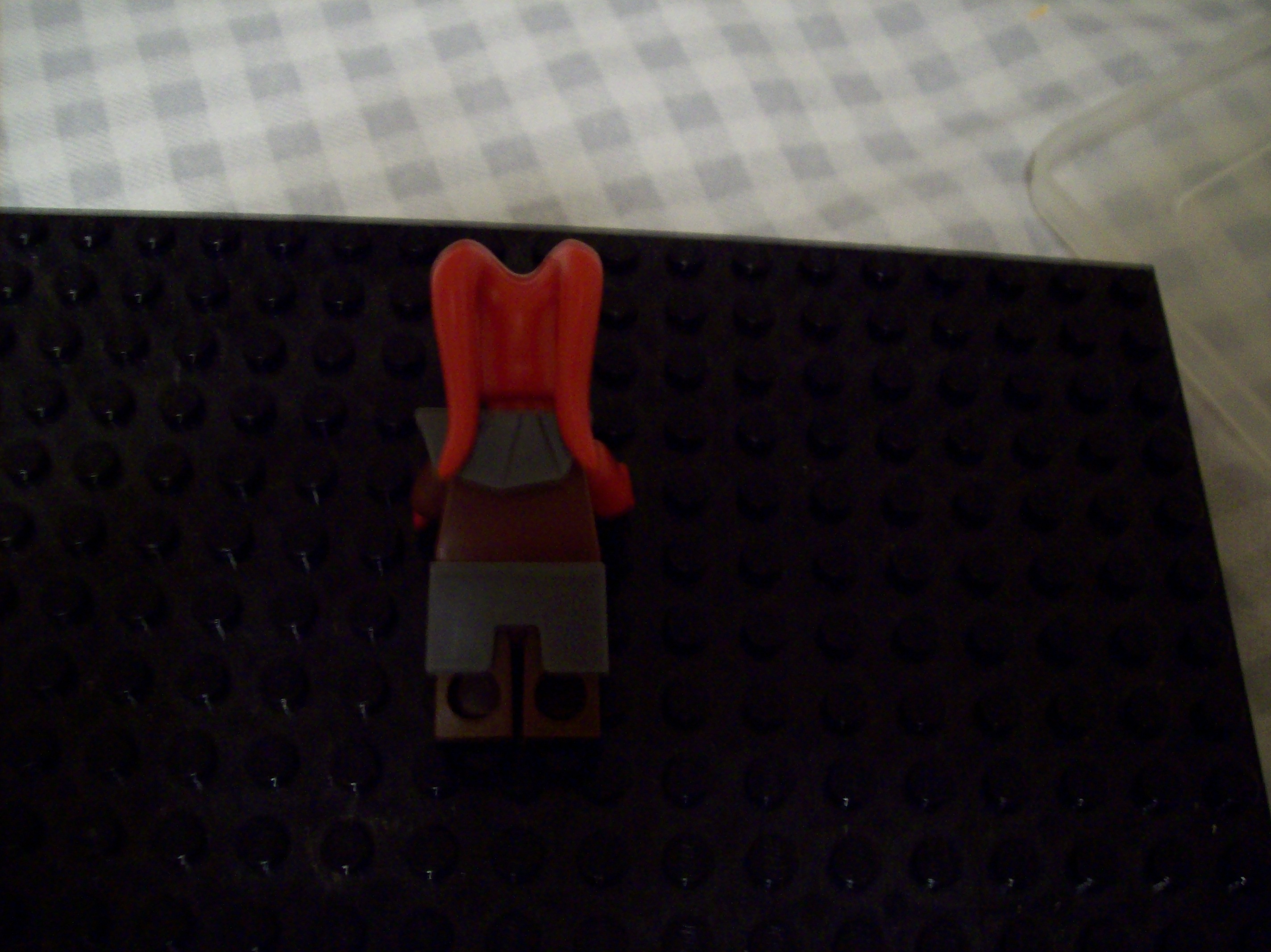 100_1085.jpg