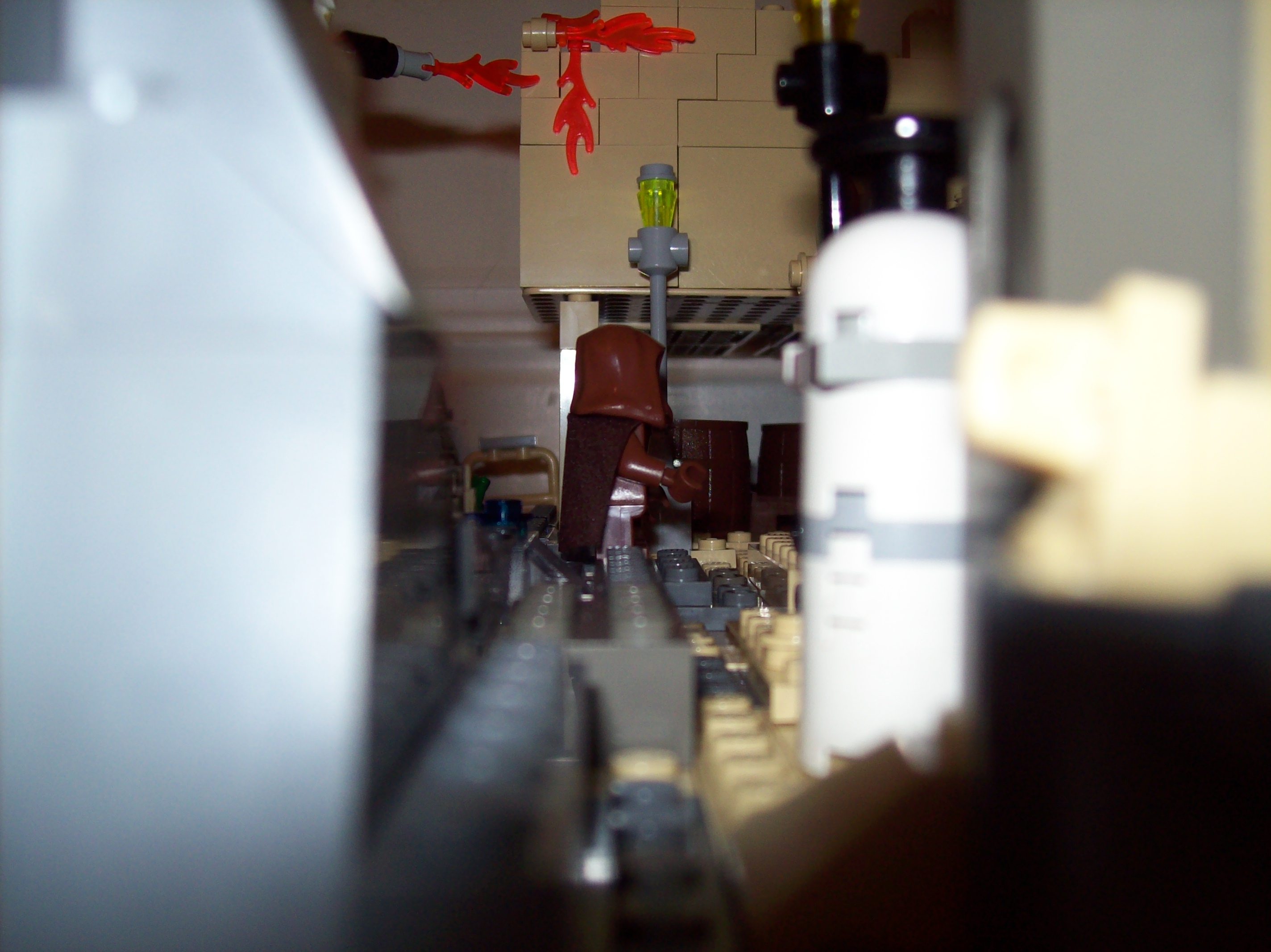 100_1137.jpg