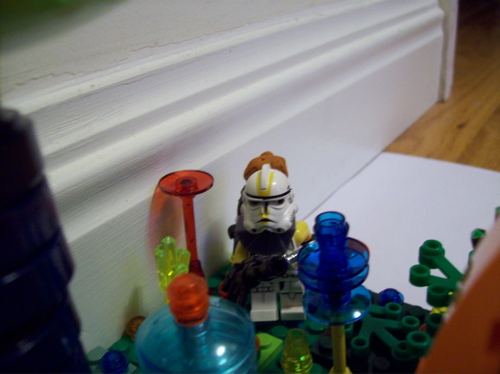 100_1302.jpg