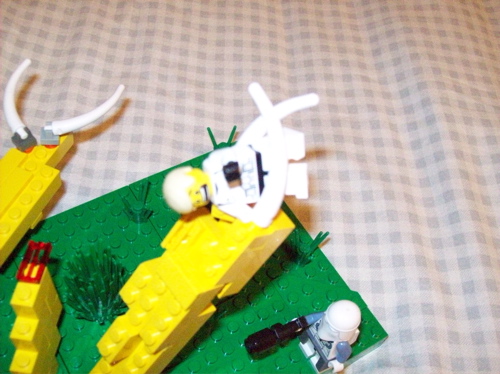 100_1245.jpg