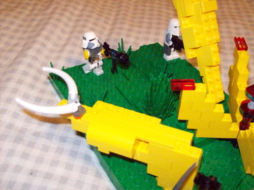 100_1247.jpg