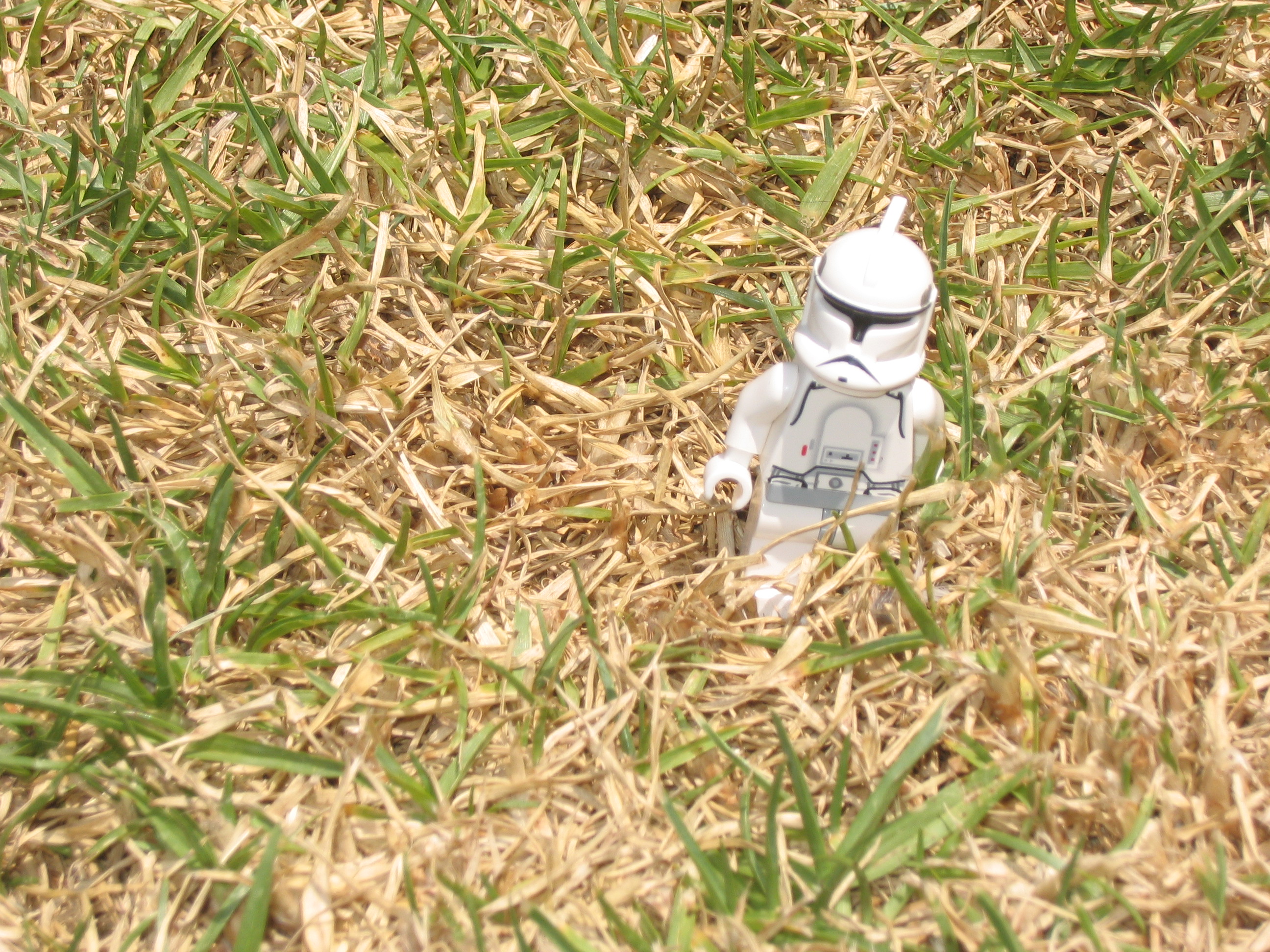 lego1_015.jpg