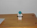 lego0_031.jpg