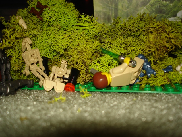 dsc01285.jpg